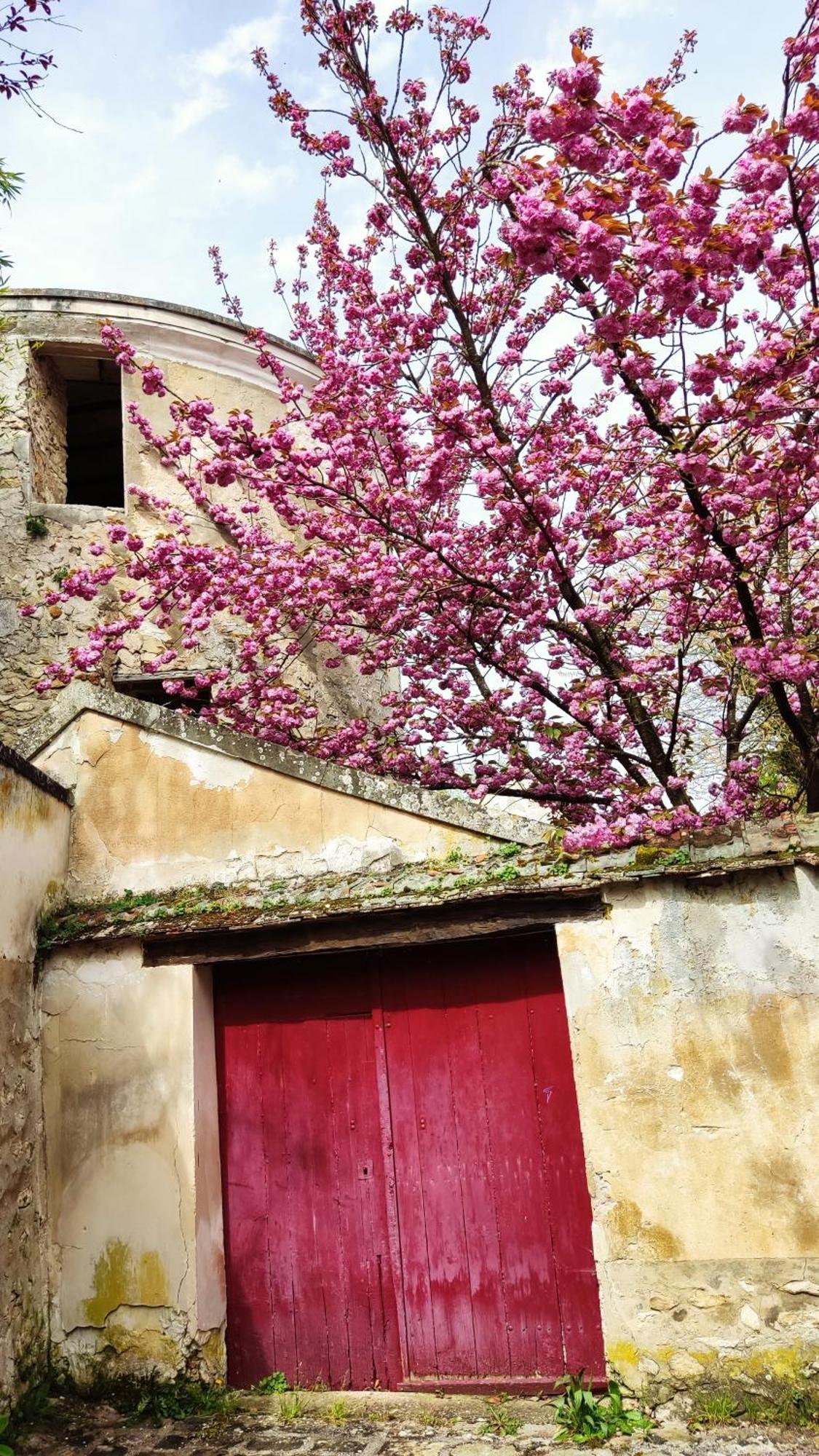 Crecy-la-Chapelle Romantic Room - Studio Jardin - Proche Disneyland Paris מראה חיצוני תמונה